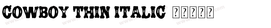Cowboy Thin Italic字体转换